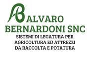 Alvaro Bernardoni