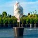 Чохли для захисту рослин Gardenlife / Гарденлайф "Рукав" 160*300 АРТ0711 фото 1
