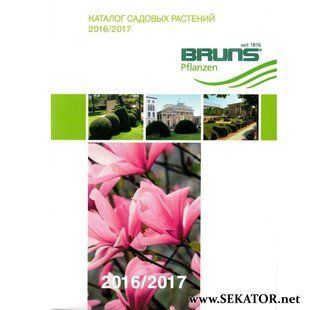 Каталог розсадника Bruns / Брунс 2016 / 2017 Bruns 2016/2017 фото