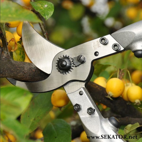 Сучкоріз Felco / Фелко 210С-60 (Швейцарія) 210С-60 фото