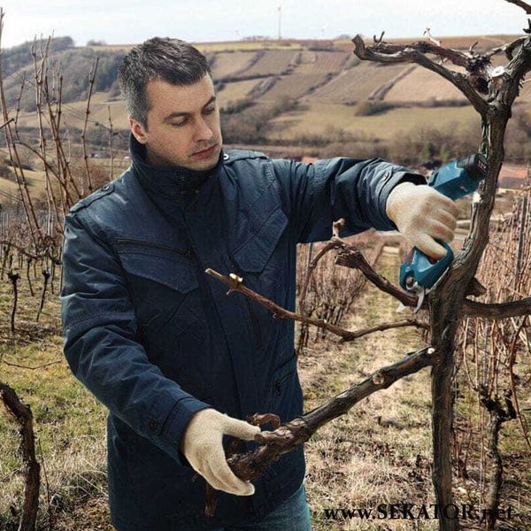 Акумуляторний секатор Bosch / Бош Professional Pro Pruner (06019K1021) 06019K1021 фото