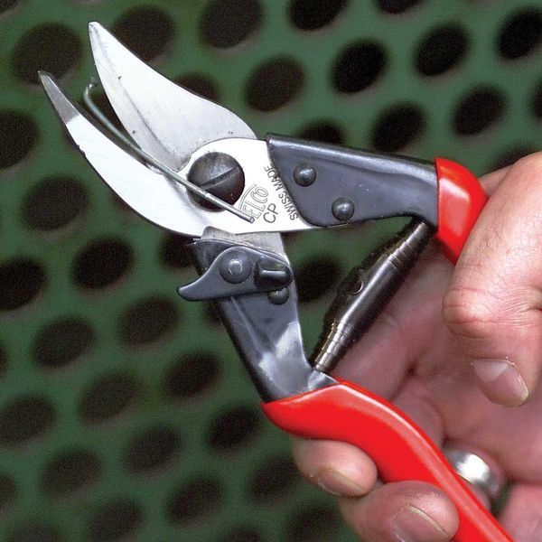 Секатор для шкіри Felco / Фелко CP (Швейцарія) Felco CP фото