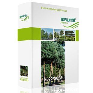 Каталог рослин розсадника Bruns / Брунс 2022 / 2023 Bruns 2022/2023 фото