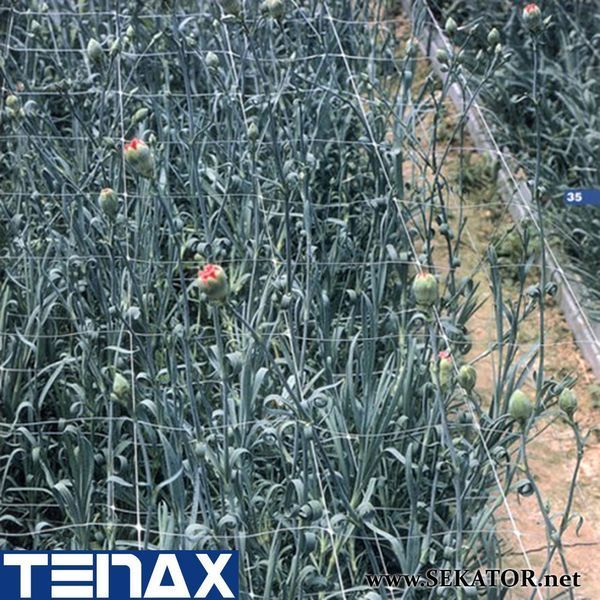 Шпалерна квіткова сітка Tenax / Тенакс HORTINET 7FG (Італія) АРТ0196 фото