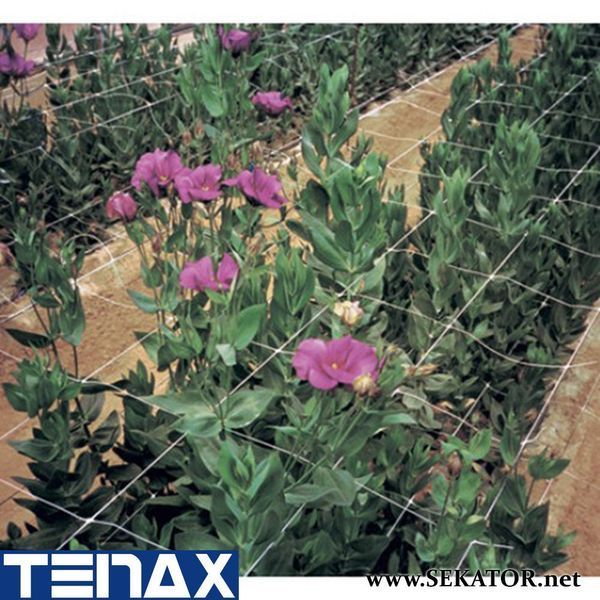 Шпалерна квіткова сітка Tenax / Тенакс HORTINET 7FG (Італія) АРТ0196 фото