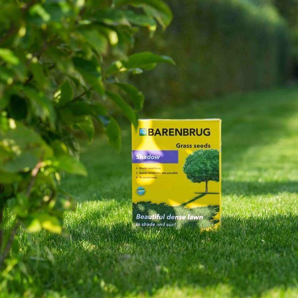 Газонна трава Barenbrug Shadow / Баренбург Тінь , 1 кг (Нідерланди) АРТ0246 фото