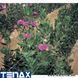 Шпалерна квіткова сітка Tenax / Тенакс HORTINET 7FG (Італія) АРТ0196 фото 5