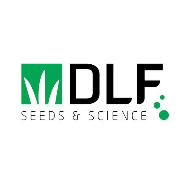 Газонна трава універсальна посухостійка DLF Trifolium / ДЛФ Тріфоліум Сан (Данія) АРТ0143 фото