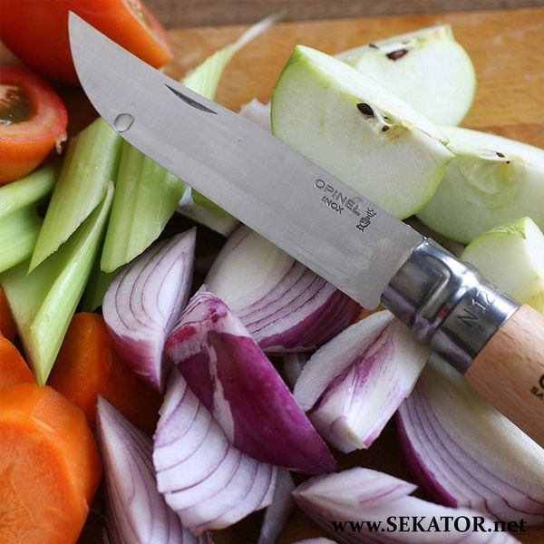 Складаний ніж Opinel №12 Carbone VRN, вуглецева сталь (Франція) 113120 фото