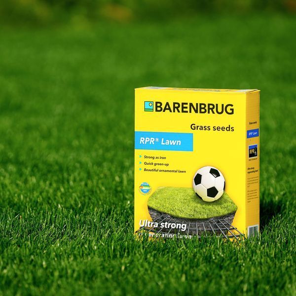 Газонна трава Barenbrug / Баренбург Barpower RPR, 1 кг (Нідерланди) АРТ0250 фото