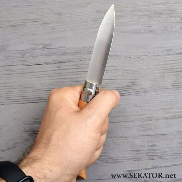 Садовий складний ніж Opinel Jardin №8 VRI, нержавіюча сталь (Франція) 2047805 фото