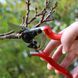Набір: Секатор Felco / Фелко 6 + Кобура для секатора FELCO 910 Black (Швейцарія) Felco 6+910 фото 10