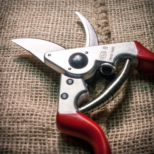Набір: Секатор Felco / Фелко 8 + Кобура для секатора FELCO 910 Black (Швейцарія) Felco 8 + 910 фото