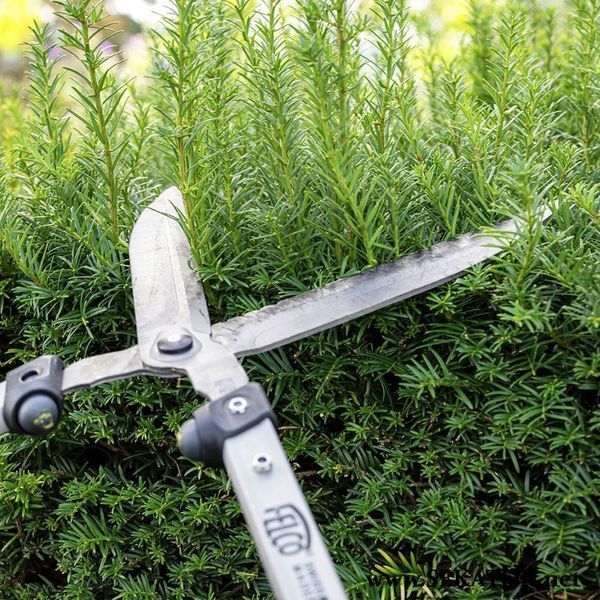 Ножиці для кущів Felco / Фелко 250-57 (Швейцарія) 250-57 фото
