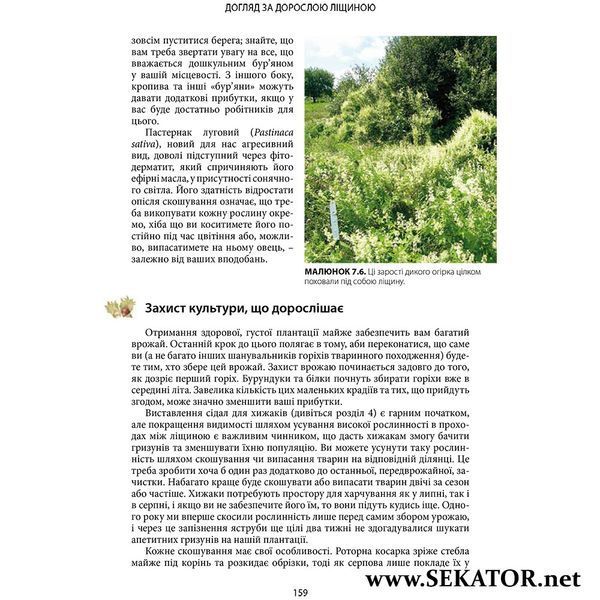 Посібник "Все про ліщину. Нова агрокультура для майбутнього" АРТ0616 фото