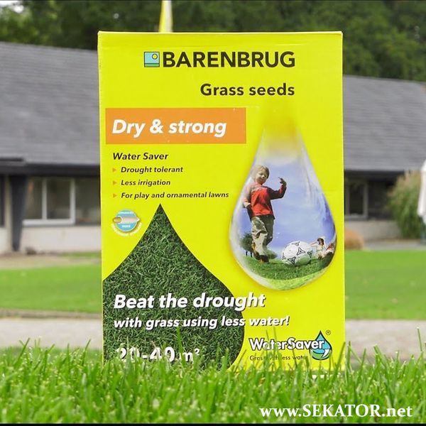 Газонна трава Barenbrug / Баренбург Water Saver, вологозберігаюча, 1 кг (Нідерланди) АРТ0256 фото