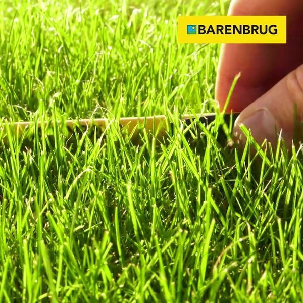 Газонна трава Barenbrug / Баренбург Water Saver, вологозберігаюча, 5 кг (Нідерланди) АРТ0257 фото