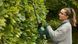 Кущоріз акумуляторний Bosch / Бош EasyHedgeCut 18-45 (Швеція) 0600849H02 фото 8