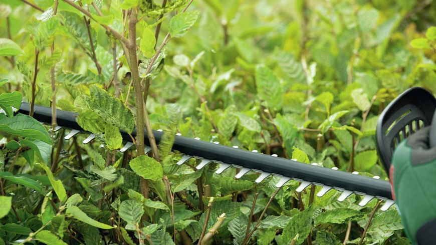 Кущоріз акумуляторний Bosch / Бош UniversalHedgeCut 18V-50 (Швеція) 0600849K0 фото