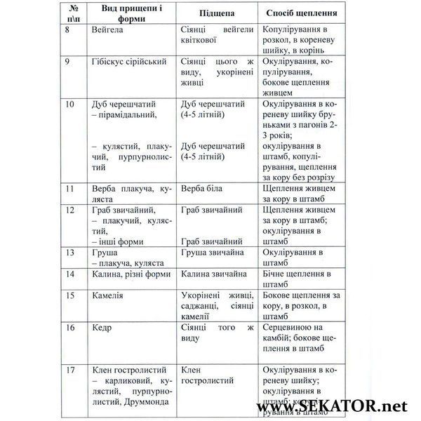 Щеплення плодових і декоративних порід АРТ0639 фото