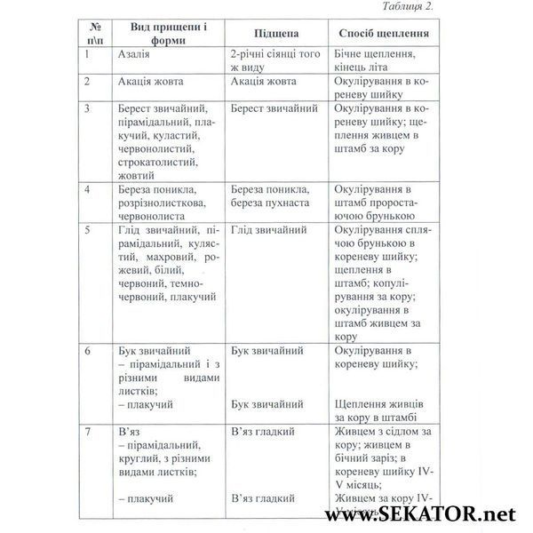 Щеплення плодових і декоративних порід АРТ0639 фото