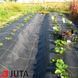 Агротканина Agrojutex / Agrocover (Чехія) 2,1*100 м АРТ0763 фото 4