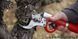 Електричний секатор FELCOtronic / Фелкотронік 820 (Швейцарія) Felco 820 фото 2