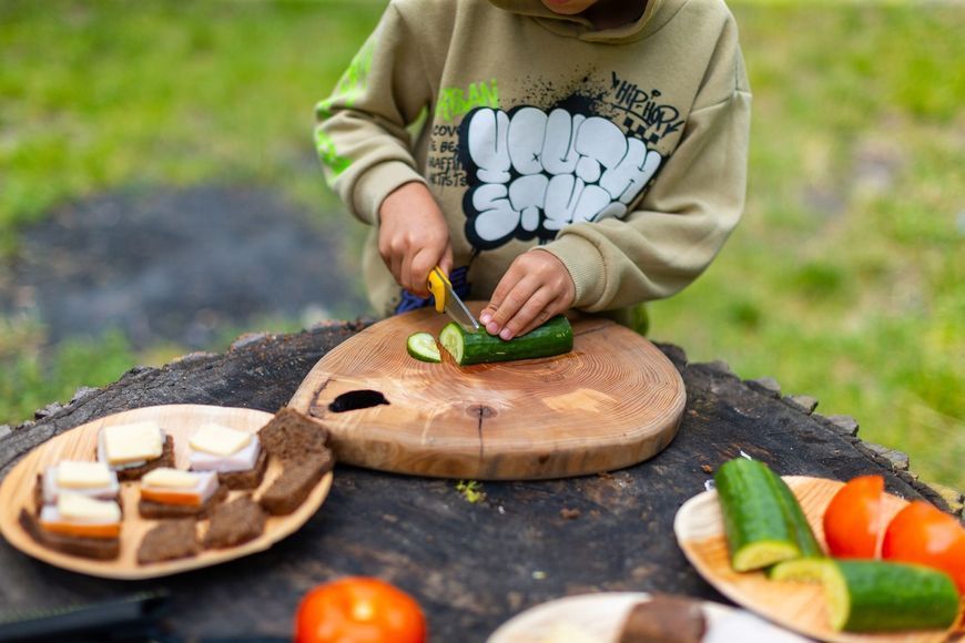 Ніж BPS Knives Summer (Україна) Summer фото
