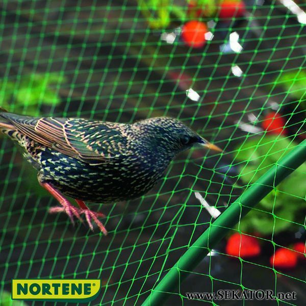 Захисна сітка від птахів Intermas-Nortene Birdnet 4*50 м, зелена (Угорщина) Birdnet 4*50 фото