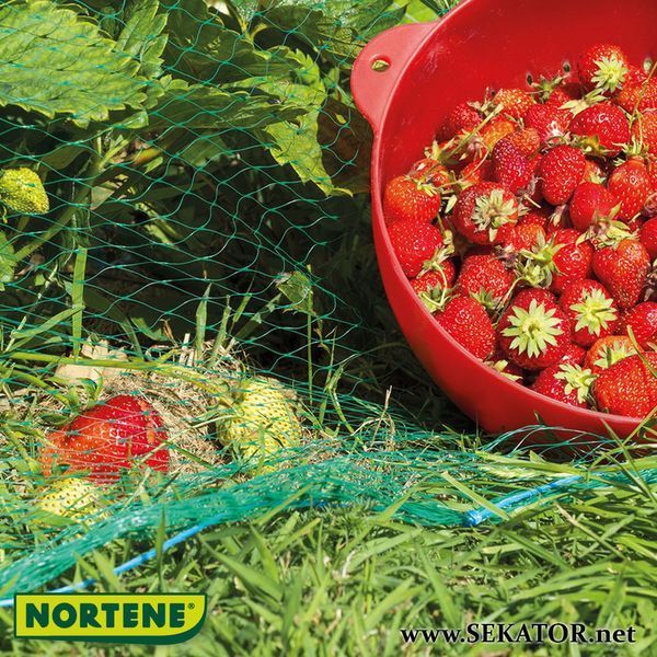 Захисна сітка від птахів Intermas-Nortene Birdnet 4*50 м, зелена (Угорщина) Birdnet 4*50 фото
