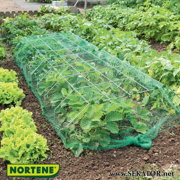 Захисна сітка від птахів Intermas-Nortene Birdnet 4*50 м, зелена (Угорщина) Birdnet 4*50 фото