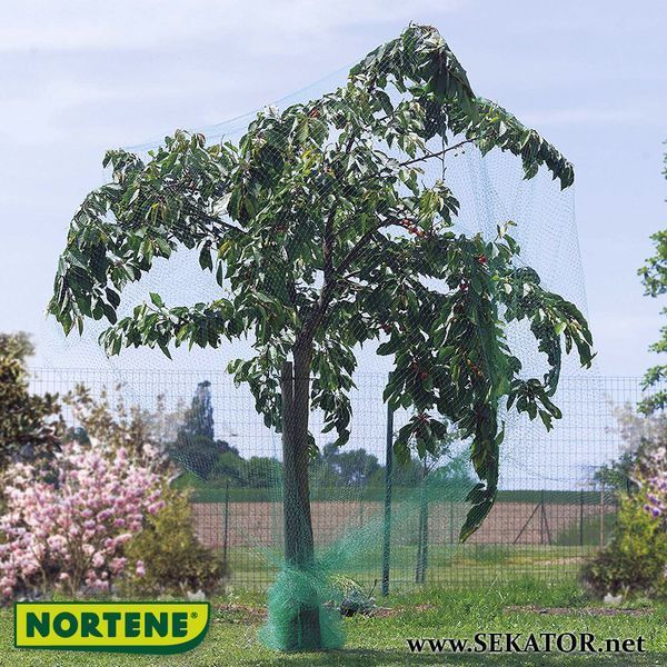 Захисна сітка від птахів Intermas-Nortene Birdnet 4*50 м, зелена (Угорщина) Birdnet 4*50 фото