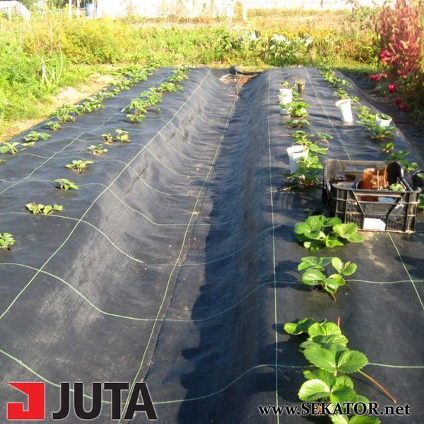 Агротканина Agrojutex / Agrocover (Чехія) 3.3*100 м АРТ0764 фото