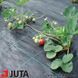 Агротканина Agrojutex / Agrocover (Чехія) 3.3*100 м АРТ0764 фото 5
