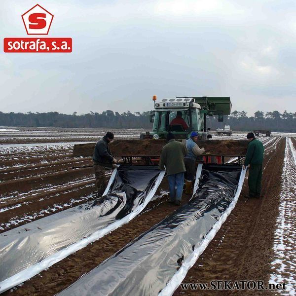 Плівка для мульчування Sotrafa / Сотрафа, перфорація 30*25 см (Іспанія) АРТ0173 фото