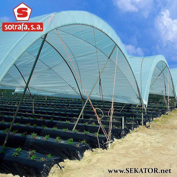 Плівка для мульчування Sotrafa / Сотрафа, перфорація 30*25 см (Іспанія) АРТ0173 фото