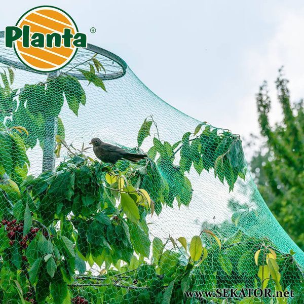 Захисна сітка від птахів Planta / Планта (Польща) АРТ0428 фото
