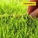 Газонна трава Barenbrug / Баренбург Water Saver, вологозберігаюча, 15 кг (Нідерланди) 103228875 фото 3