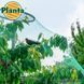 Захисна сітка від птахів Planta / Планта (Польща) АРТ0428 фото 3