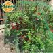 Захисна сітка від птахів Planta / Планта (Польща) АРТ0428 фото 4