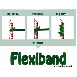 Каучукові гумки для щеплення Flexiband 140 х 3,5 мм (2900 шт) АРТ0068 фото