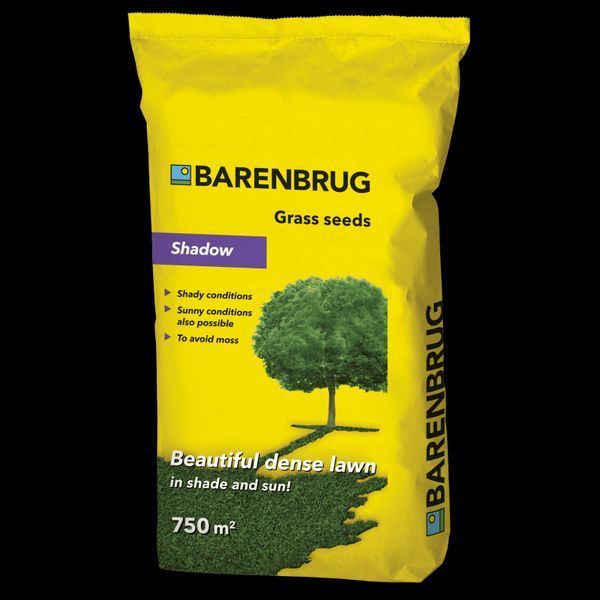 Газонна трава Barenbrug Shadow / Баренбург Тінь 15 кг (Нідерланди) 103228876 фото