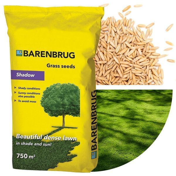 Газонна трава Barenbrug Shadow / Баренбург Тінь 15 кг (Нідерланди) 103228876 фото