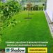 Газонна трава Barenbrug Shadow / Баренбург Тінь 15 кг (Нідерланди) 103228876 фото 4