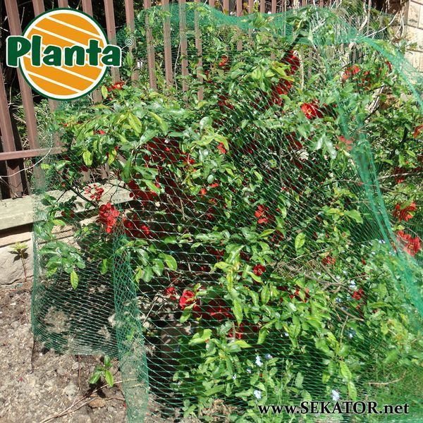 Захисна сітка від птахів Planta (Польща) 4*50 м АРТ0430 фото