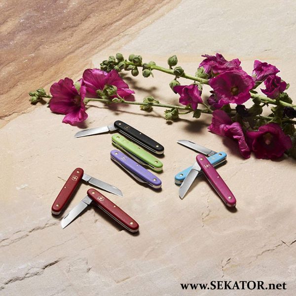 Ніж для щеплення для шульги Victorinox / Вікторінокс Vx39450.B1 (Швейцарія) Vx39450.B1 фото