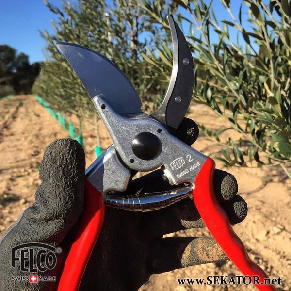 Акційний набір Felco: Секатор Felco 2 + зимова шапка Фелко (Швейцарія) Felco 2+шапка фото