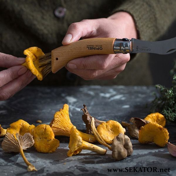 Ніж грибника Opinel №8 (для збирання грибів), 001252 (Франція) 001252 фото