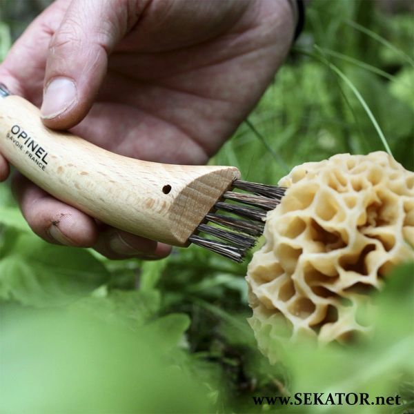 Ніж грибника Opinel №8 (для збирання грибів), 001252 (Франція) 001252 фото