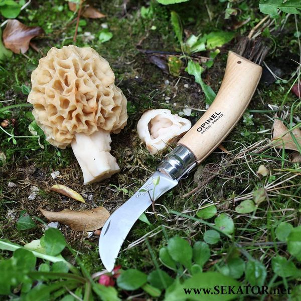 Ніж грибника Opinel №8 (для збирання грибів), 001252 (Франція) 001252 фото